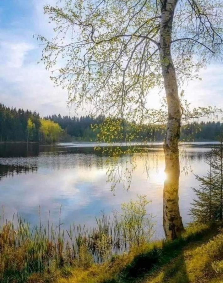 Stilingi Apartamentai Su Virtuve Traku Miesto Centre Trakai Exterior foto