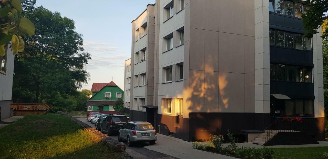 Stilingi Apartamentai Su Virtuve Traku Miesto Centre Trakai Exterior foto
